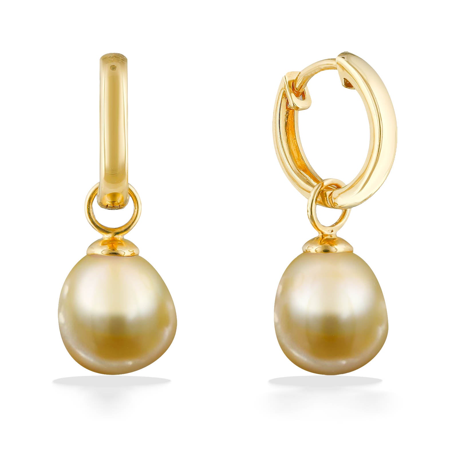 43705 - 14K Yellow Gold - Golden South Sea Pearl Hoop Earrings